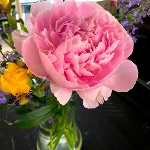 Meet your Posher, Hana